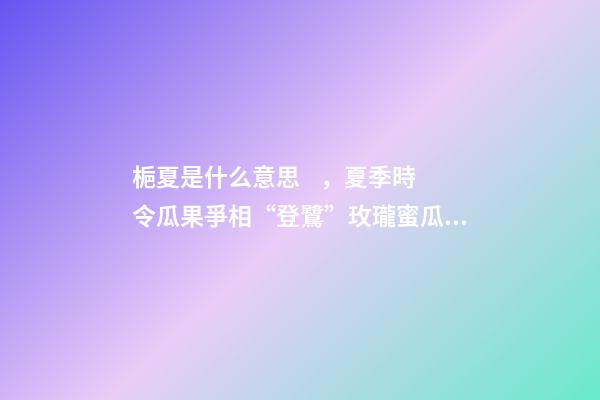 梔夏是什么意思，夏季時令瓜果爭相“登鷺”玫瓏蜜瓜跨界茶飲圈